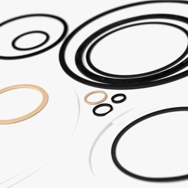 Backup Rings