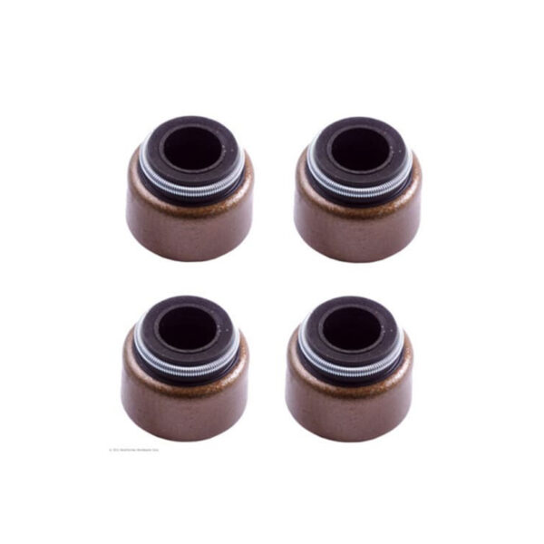 Check Valve Seals